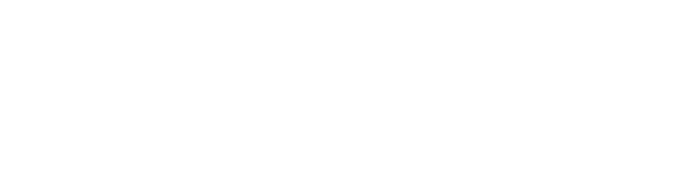 VoltX Électrique